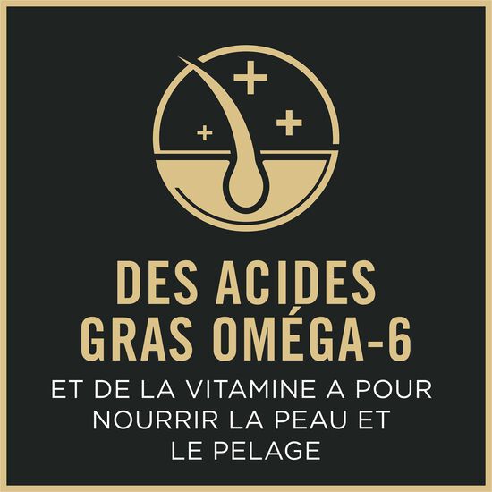 Nourriture sèche spécialisée au poulet et riz pour chiens de grandes races de 7 ans et plus, 15,4 kg Image NaN