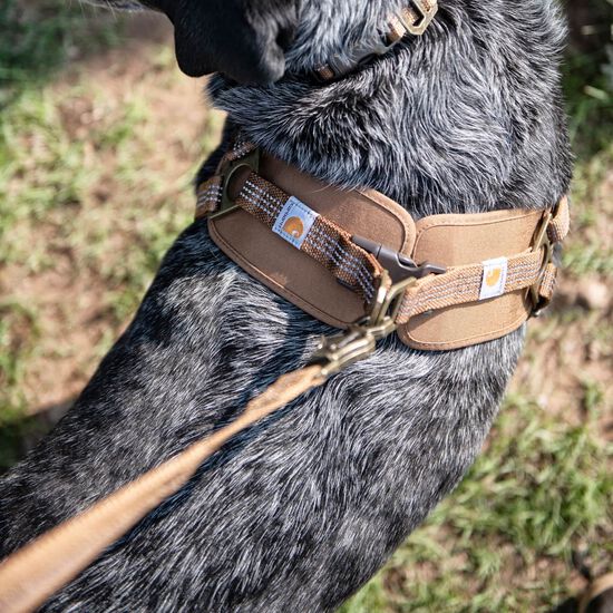 Harnais d'entra&icirc;nement nylon Duck pour chiens Image NaN