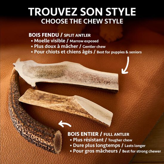 Split Antler Chew for Dogs, Large Image NaN