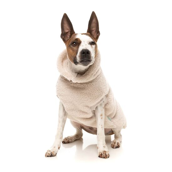 Pull col roul&eacute; Teddy pour chiens Image NaN