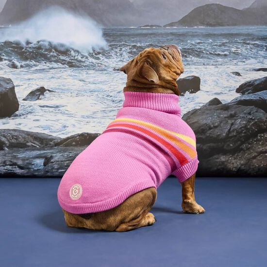 Pull col roul&eacute; sculpt&eacute; bord de mer pour chiens, Vague rose Image NaN