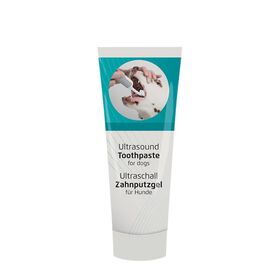 Apple flavoured toothpaste for dogs