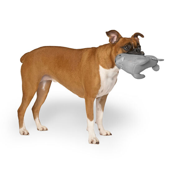 Freeze and Chill Cooling Pal Toy, Grey Walrus Image NaN