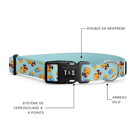 Collier r&eacute;glable pour chiens Image NaN