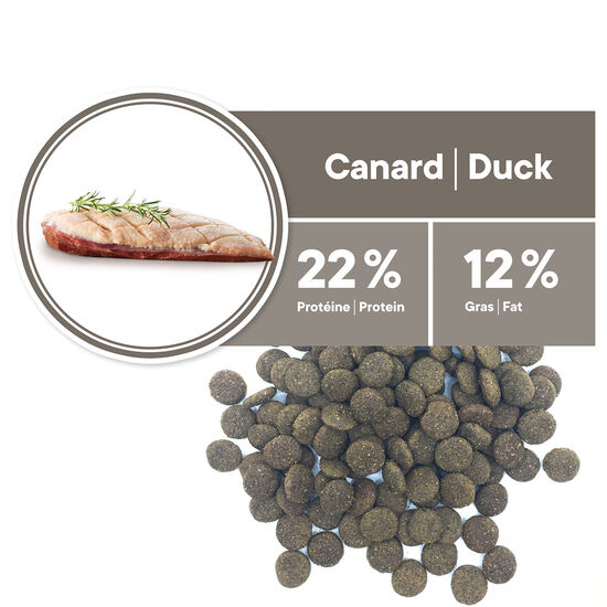 Hypoallergenic dry duck food for dogs Image NaN