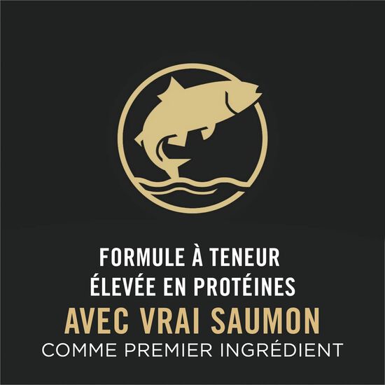 Nourriture s&egrave;che formule sp&eacute;cialis&eacute;e &laquo; LiveClear &raquo; au saumon et riz pour chats, 1,59 kg Image NaN