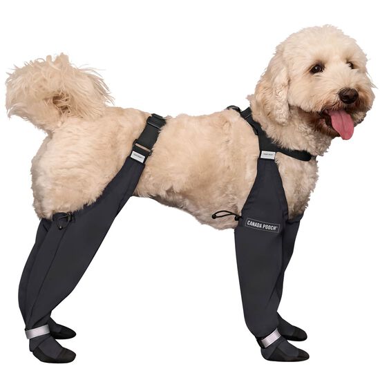 Reflective Suspender Boots for Dogs Image NaN