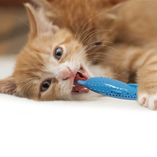 Jouet dentaire pour chats, dauphin Image NaN