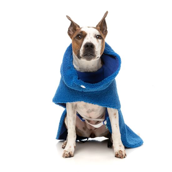Le manteau Snuggle Snood pour chiens Image NaN