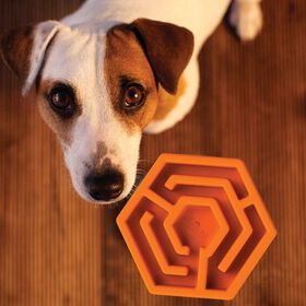 Bol ralentisseur &laquo;Hexa&raquo; orange