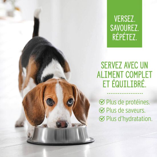 Garniture Style maison au poulet florentine pour chiens, 152 g Image NaN