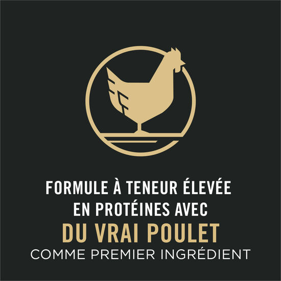 Complete Essentials Chicken & Rice Formula Dry Cat Food, 3.18 kg Image NaN