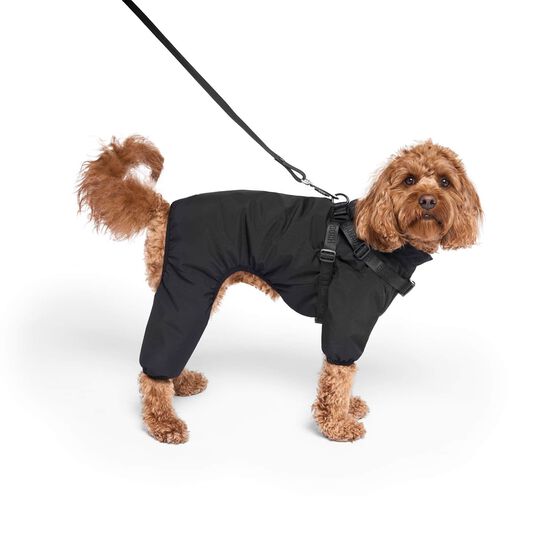 Harness Snowsuit for Dogs Image 1.0