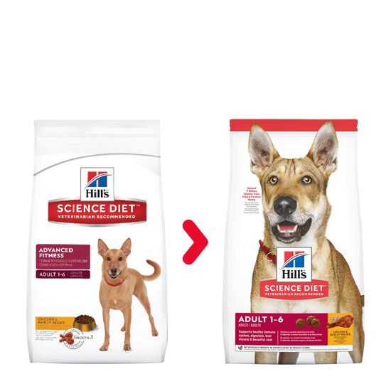 Adult Chicken & Barley Recipe Dry Dog Food Image NaN