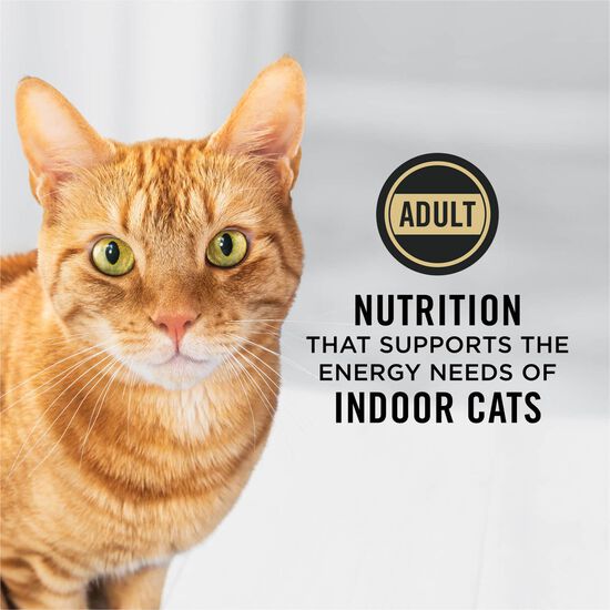 Specialized Indoor Hairball Turkey and Rice Dry Cat Food Formula, 1.59 kg Image NaN