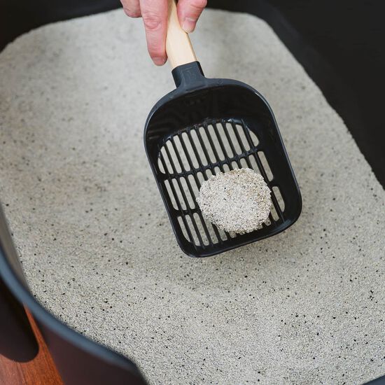 Unscented Clumping Clay Litter, 12 kg Image NaN