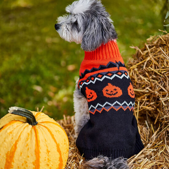 Tricot col haut avec design en jacquard pour chiens Image NaN