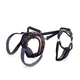 Dog lifting aid harness																															