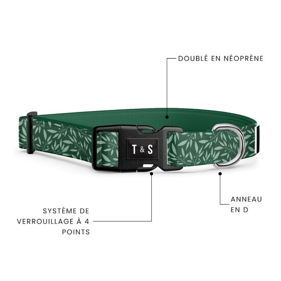 Collier réglable pour chiens Image NaN