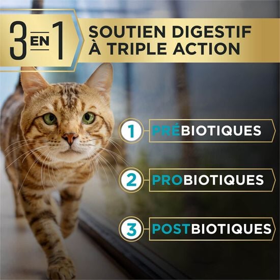 Nourriture s&egrave;che AdvantEDGE Soutien+ digestif au saumon et riz pour chats, 5,44 kg Image NaN