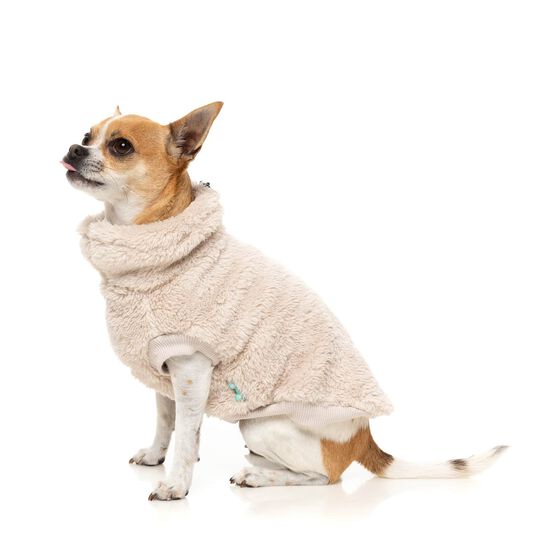 Pull col roul&eacute; Teddy pour chiens Image NaN