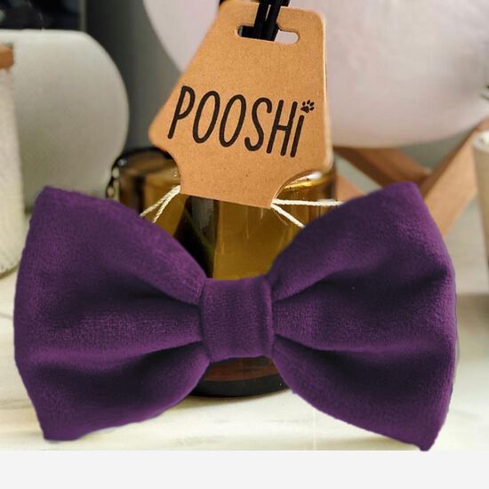 Bow Tie for Cats and Dogs Image NaN