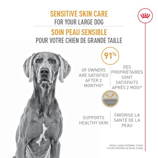 Formule soin peau sensible pour chien de grande race Image NaN