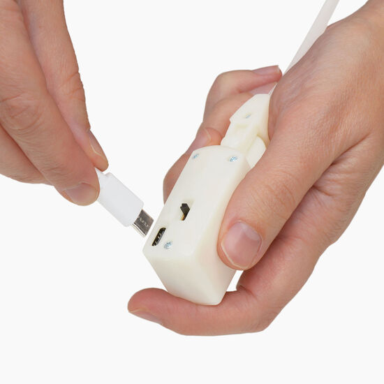 Groovy Gecko Toy for Cats Image NaN