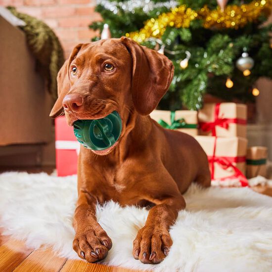 Pupsicle Toy for Dogs, Small Image NaN
