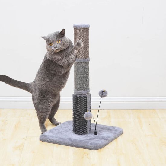 Griffoir pour chat avec masseur en caoutchouc et jouets à taquiner Image NaN