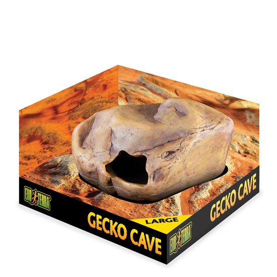 Large gecko cave Image NaN