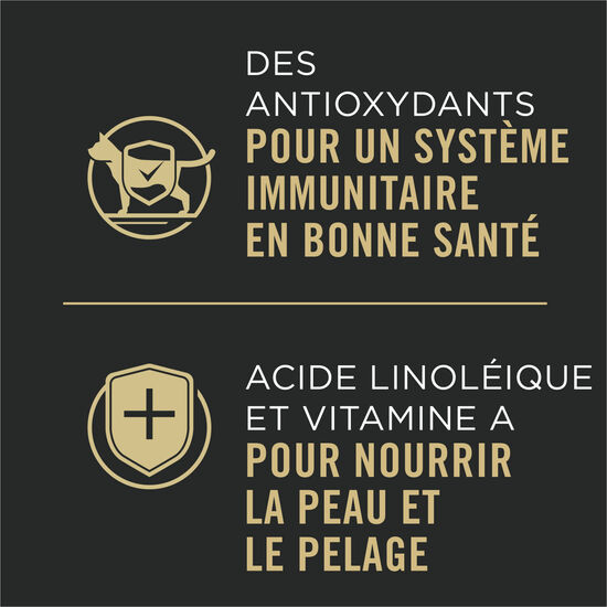 Complete Essentials Favourites Entrée Cat Food Variety Pack, 12 x 85 g Image NaN