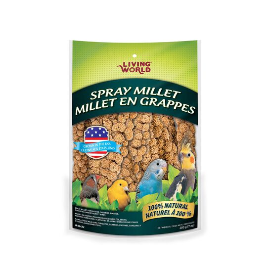 Spray Millet Image NaN