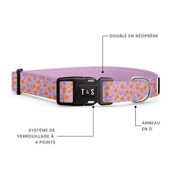 Adjustable Dog Collar Image NaN