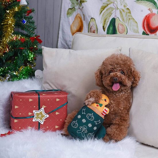 Jouet en peluche couineur latt&eacute; au pain d'&eacute;pices pour chiens Image 6.0