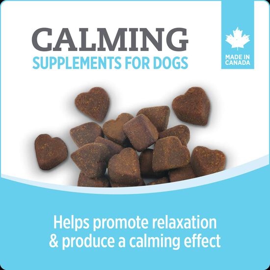 Suppl&eacute;ment calmant pour chiens,  400 g Image NaN