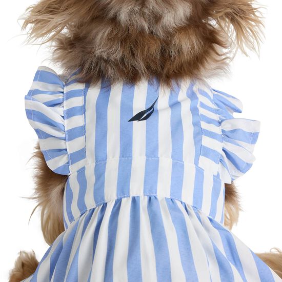 Striped Poplin Dress for Dogs Image NaN