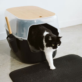 Grand bac &agrave; liti&egrave;re de luxe avec dessus en bambou