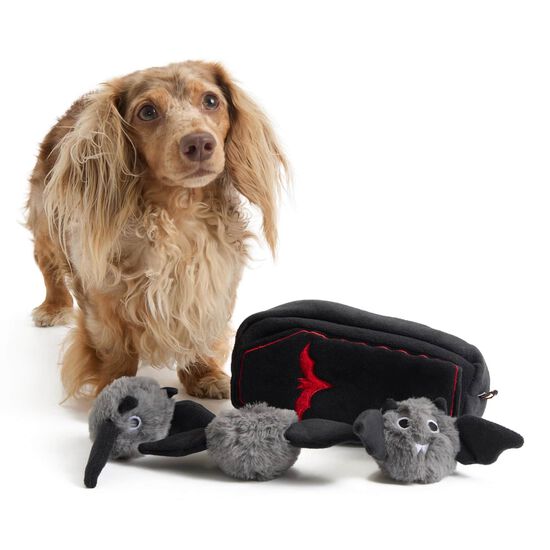Ensemble de jouet cercueil avec chauves-souris pour chiens Image NaN