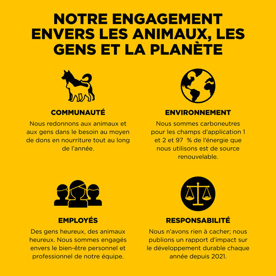 Recette « Skin + Coat Care » au canard avec grains pour chiens, 9,98 kg Image NaN