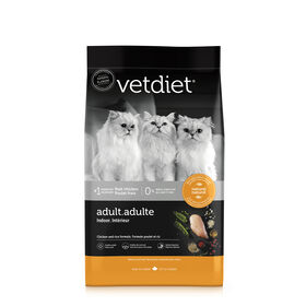 Chicken dry food for indoor adult cats