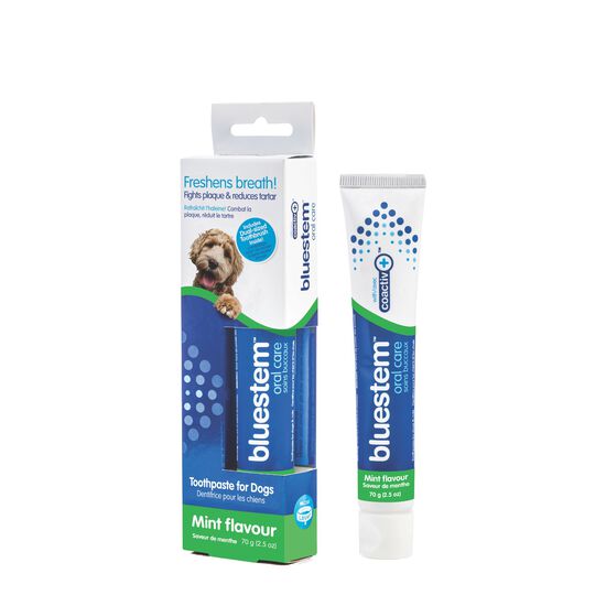 Dentifrice et brosse à dents pour chiens, menthe Image NaN