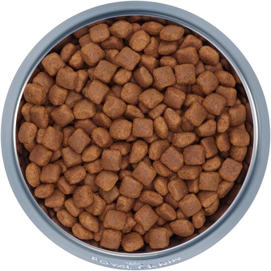 Size Health Nutrition™ Giant Junior Dry Dog Food Image NaN