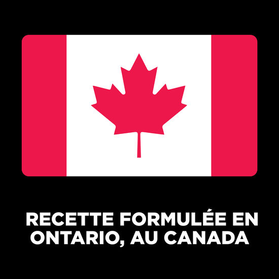 Pâté « Carnivore » de saumon et morue sans grains pour chats, 182 g Image NaN