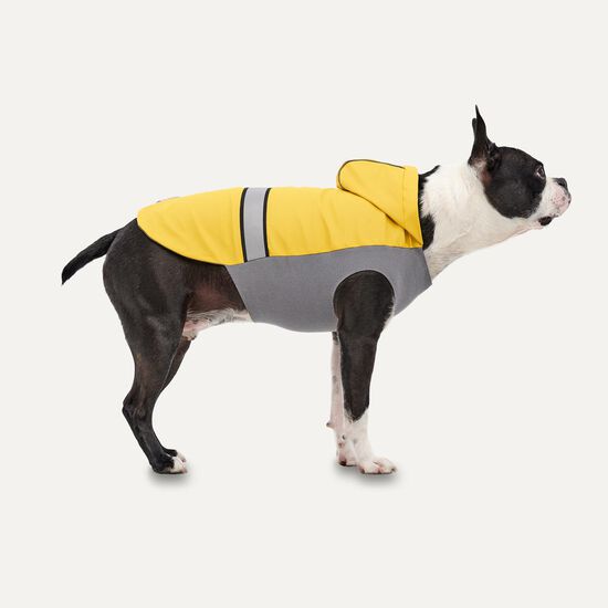 Manteau de pluie toutes saisons pour chiens Image NaN