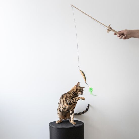 Toy Fishing Rod for Cats Image NaN