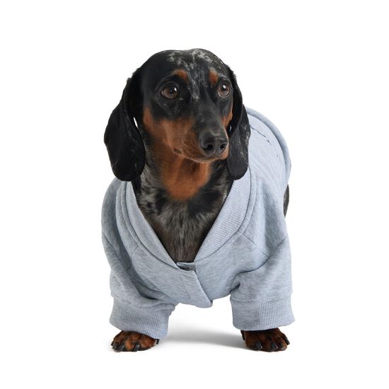 Sweat en molleton pour chiens Image NaN