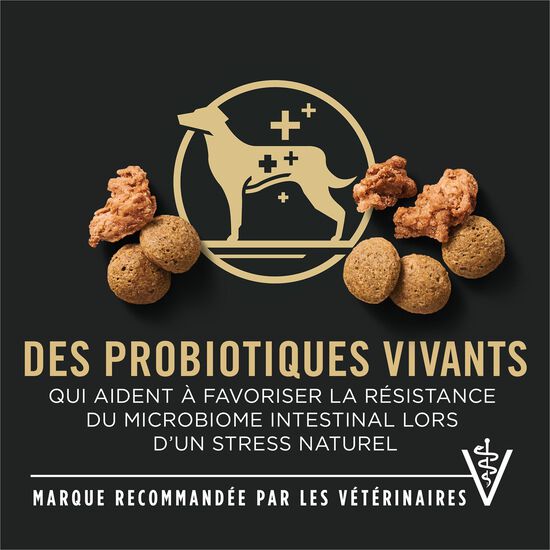 Nourriture sèche spécialisée au poulet et riz pour chiens de grandes races de 7 ans et plus, 15,4 kg Image NaN