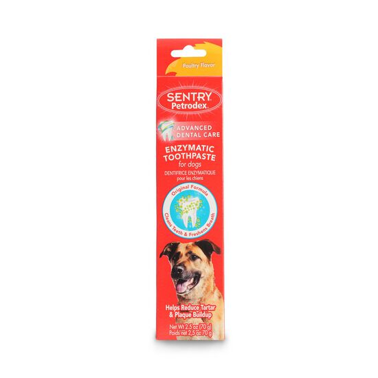 Chicken toothpaste for dog 70 g Image NaN