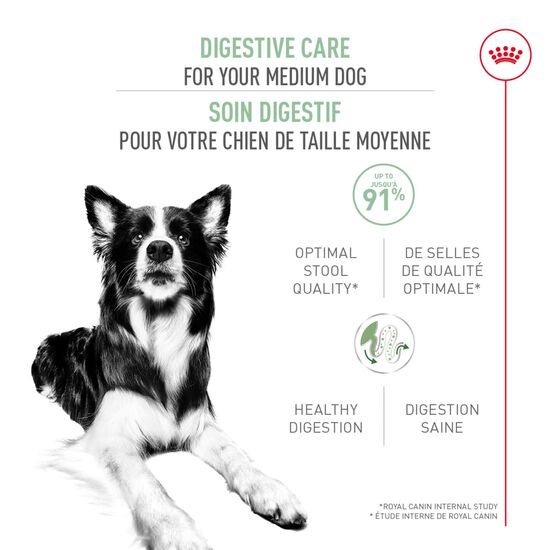 Nourriture formule nutrition soin digestif pour chiens de taille moyenne Image NaN